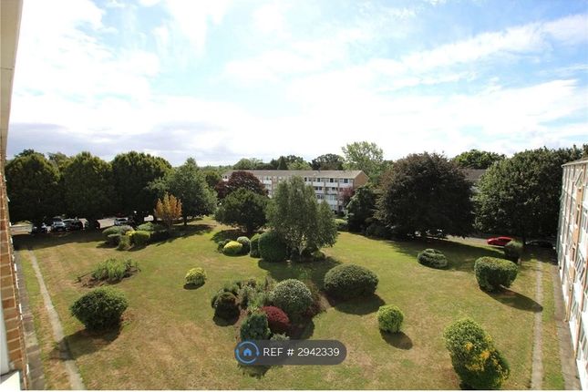 Tarnwood Park, Eltham, London photo 2