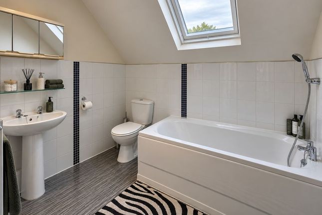 Flat 3, 8, Hope Drive, Nottingham photo 4