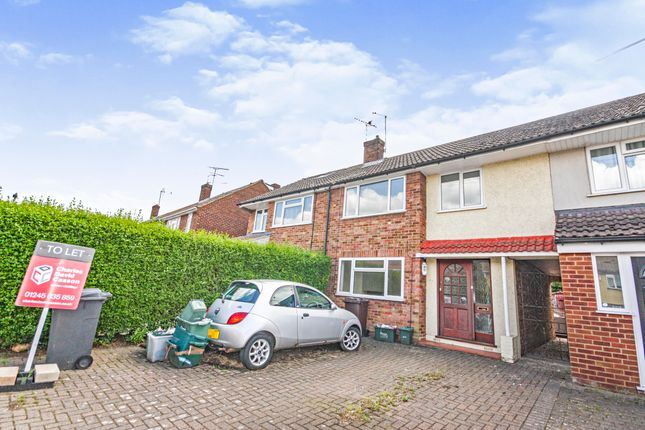 Thumbnail Terraced house to rent in Gloucester Avenue, Chelmsford
