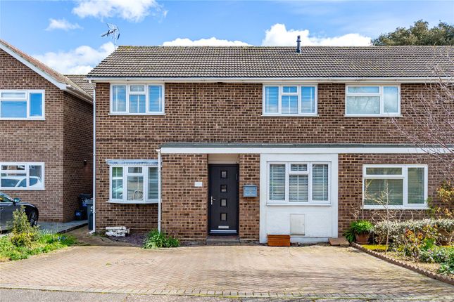 Thumbnail Semi-detached house for sale in Borda Close, Chelmsford, Essex