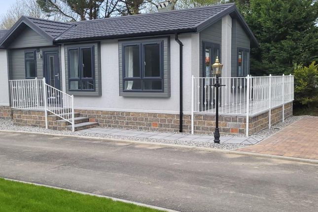 Thumbnail Mobile/park home for sale in Willowside Park Homes, Wheal Rose, Redruth