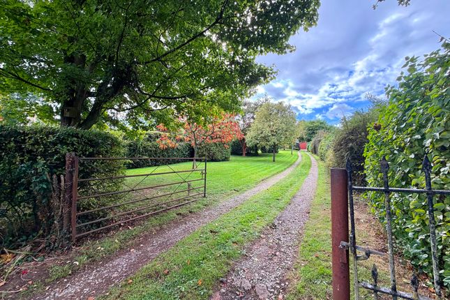 Norview, Woolaston, Lydney photo 2