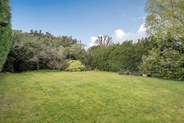 Ockham Drive/Ockham Road North, West Horsley photo 2
