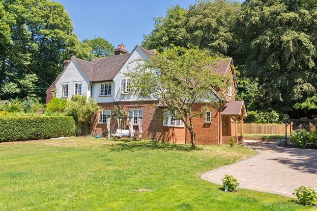 Thumbnail Semi-detached house to rent in Haslemere Road, Brook