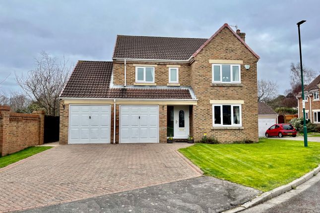 Thumbnail Detached house for sale in Whinchat Tail, Guisborough, North Yorkshire