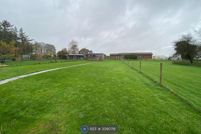 Linkenholt, Andover photo 4