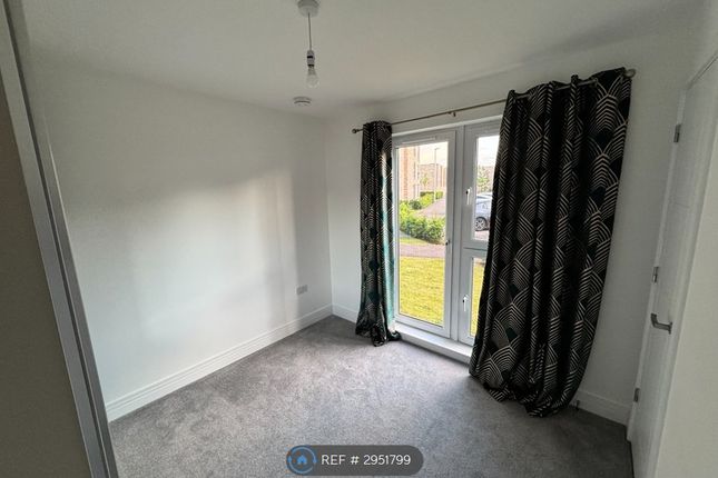 Flat, Umbrella Pine Terrace, Edinburgh photo 5