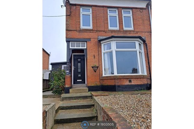 Thumbnail Semi-detached house to rent in Bramford Road, Ipswich