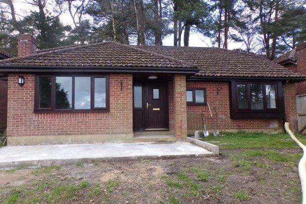 Thumbnail Bungalow to rent in Hurn Road, Ringwood