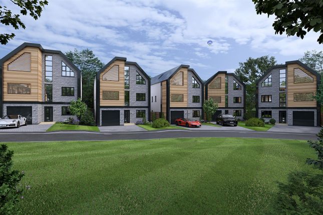 Amended Stone_12 - Photo.Jpg