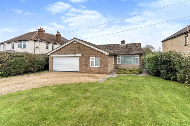 Thumbnail Bungalow for sale in Oakley Road, Bromham, Bedford, Bedfordshire