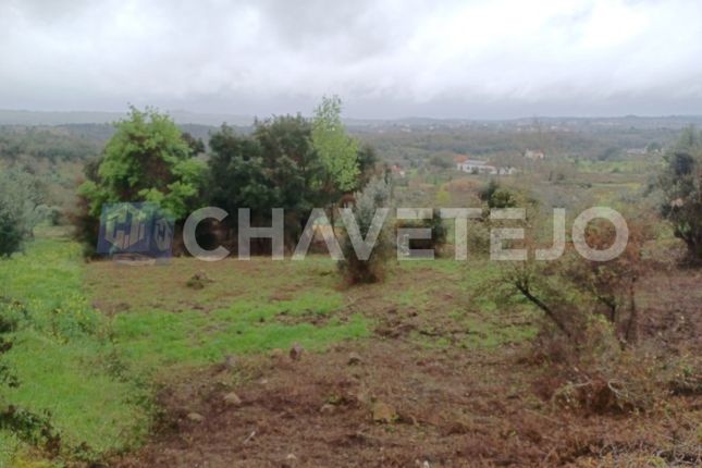 Land for sale in Areias E Pias, Ferreira Do Zêzere, Santarém