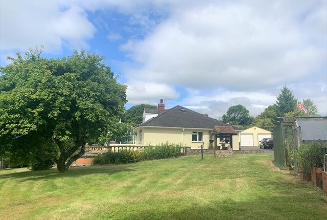 Thumbnail Detached bungalow for sale in Shute, Axminster