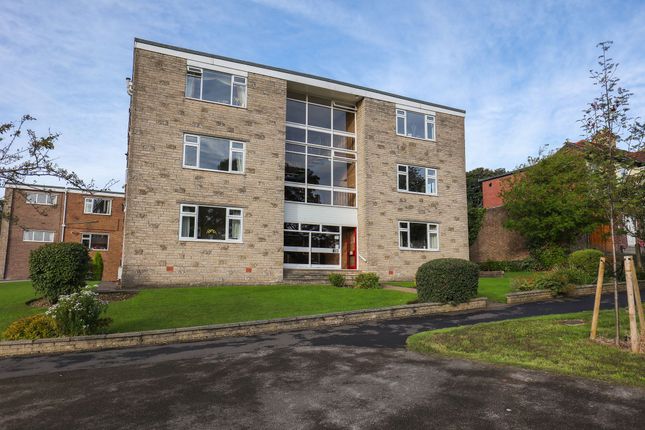 177 Crimicar Lane, Sheffield photo 4