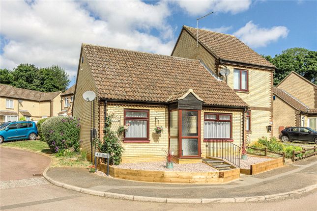 Bungalow for sale in Ecton Park Road, Northampton, Northamptonshire