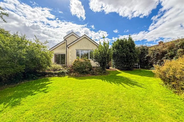 23, Steeple Road, Chelmsford photo 3