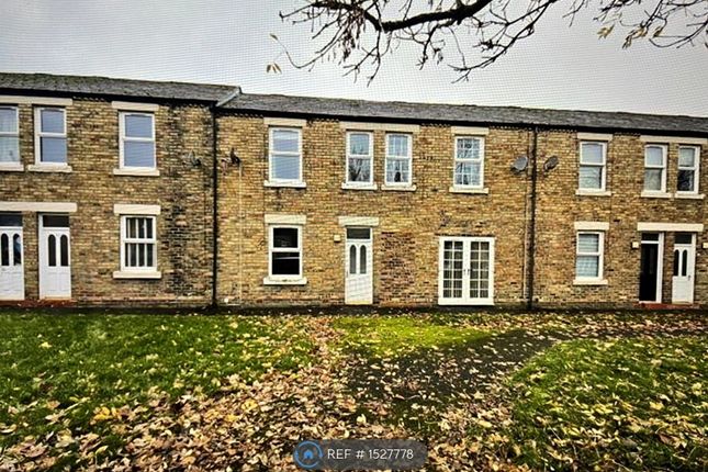 Thumbnail Terraced house to rent in Shotton Street, Cramlington, Northumberland