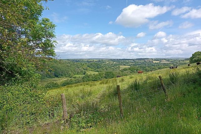 Superb Views From Gardens