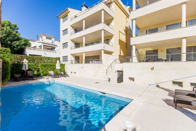 Apartment for sale in Port De Andratx, Port D'andratx, Andratx, Majorca, Balearic Islands, Spain
