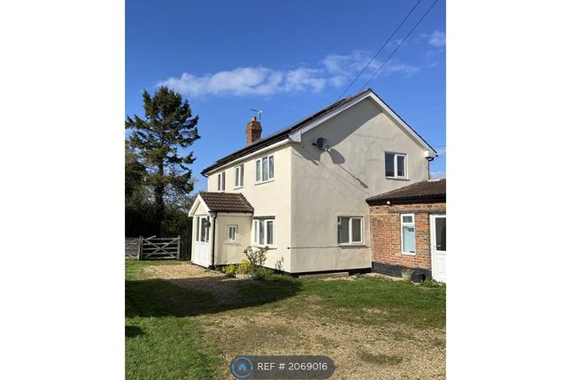 Detached house to rent in Walpole Highway, Walpole Highway, Wisbech