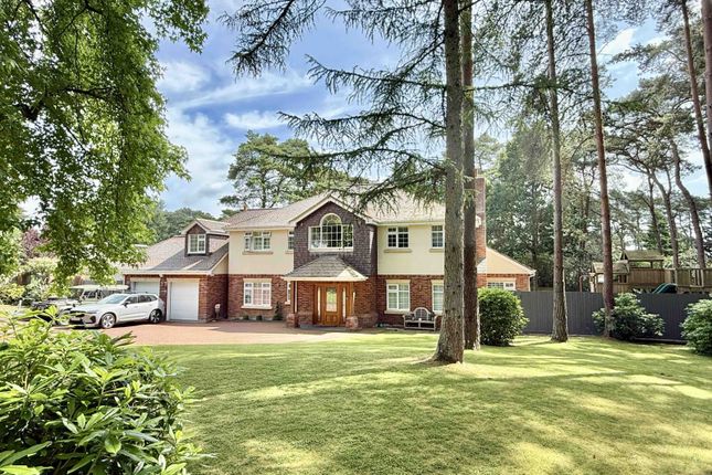 42 Avon Avenue, Avon Castle, Ringwood photo 2