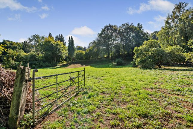 Copt Hill,, Fulvens, Guildford photo 3