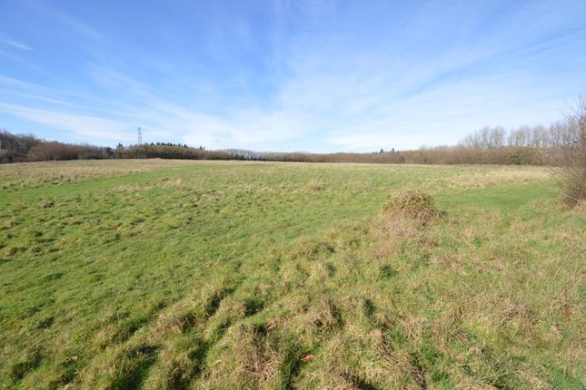 Thumbnail Land for sale in Portsmouth Road, Liphook
