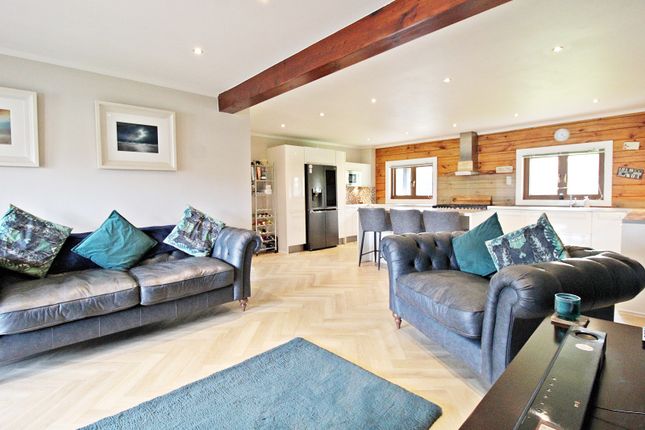 Kitchen-Diner-Family Room