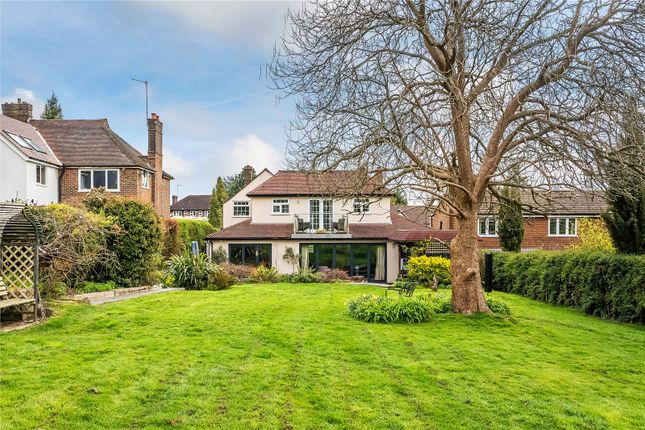 17, Wray Lane, Surrey photo 4