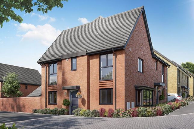Thumbnail Property for sale in "The Chesham" at Curbridge, Botley, Southampton