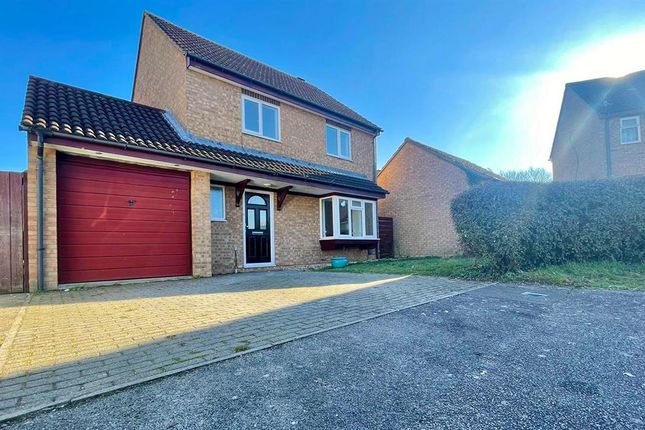 Thumbnail Detached house to rent in Ely Way, Kempston, Bedford