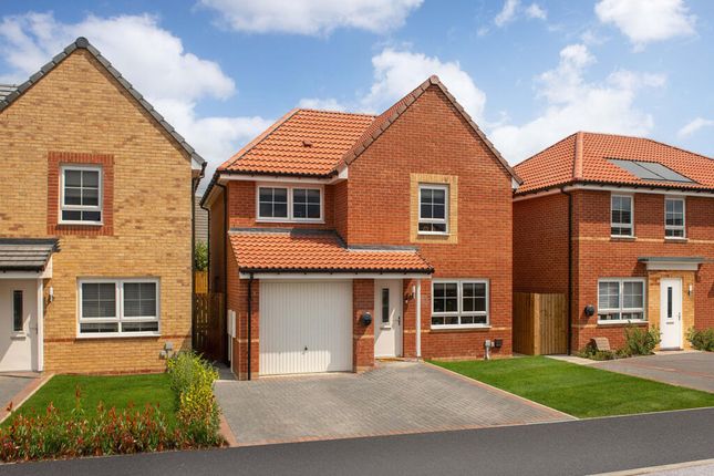 Plot 11, Plot 11, The Denby, The Hawthorns, Sutton-In-Ashfield photo 4