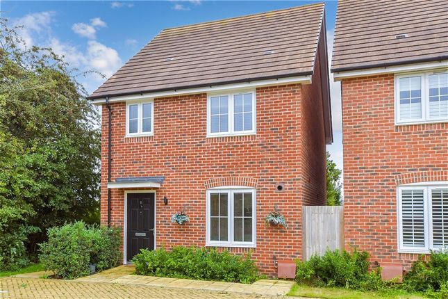 External (Web) Edited