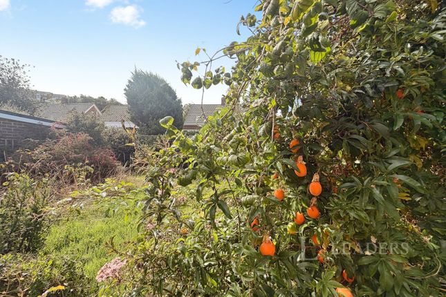 54, Coombe Vale, Brighton photo 4