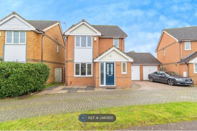 Thumbnail Detached house to rent in Britten Grove, Old Farm Park, Milton Keynes
