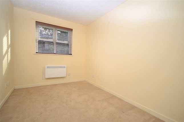 Stapleford Close, Essex photo 5