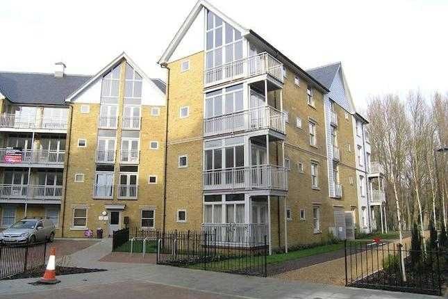 Flat to rent in St. Andrews Close, Canterbury