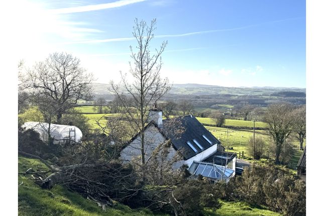 Bryn Aur, Pentre Celyn, Ruthin photo 4