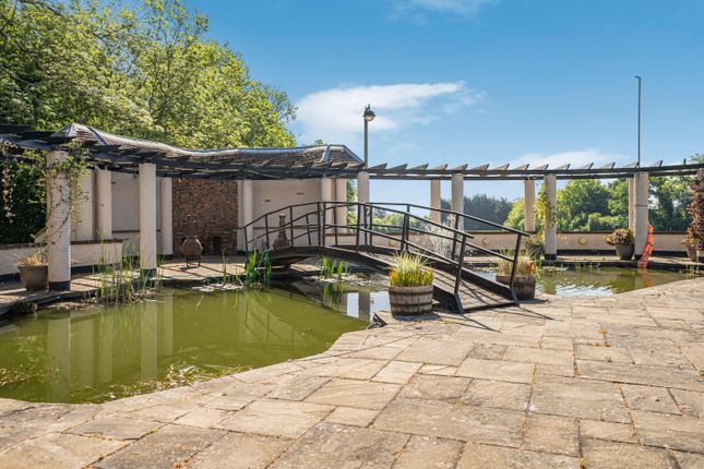 Pond