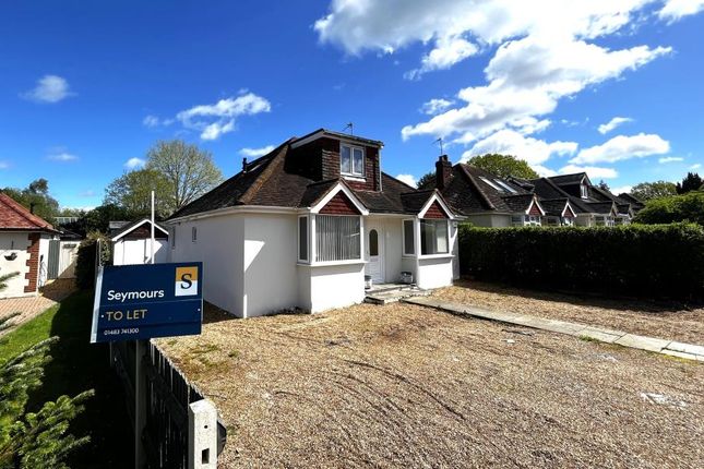 Detached bungalow to rent in Chobham, Surrey