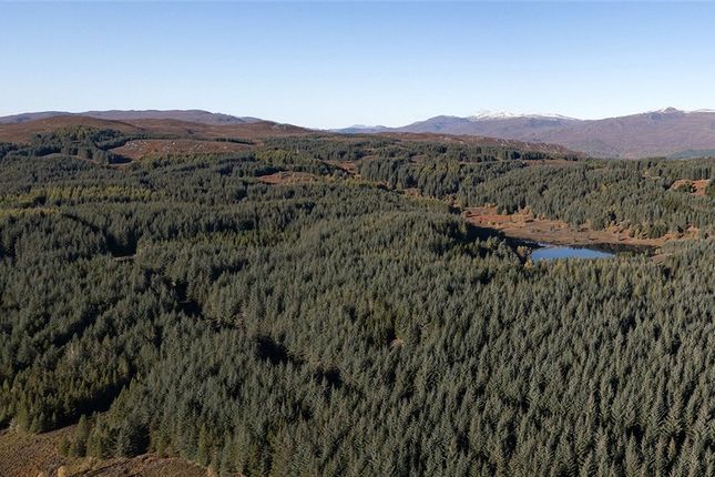 Thumbnail Land for sale in John Trower Wood, Beauly, Inverness-Shire