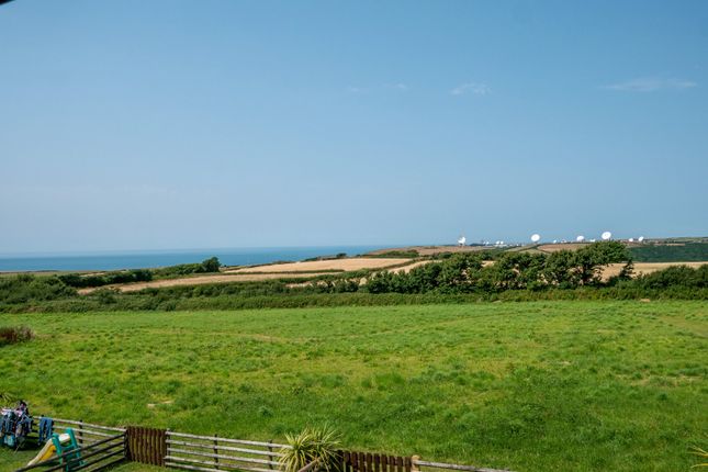 Verity, Houndapitt Farm, Bude photo 3