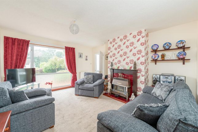 12, Halliden Road, Kelso photo 3