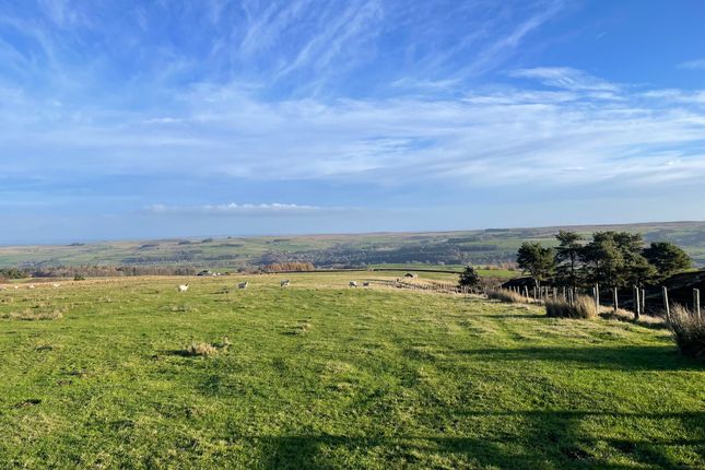 Thumbnail Land for sale in Top Barn, Allendale, Northumberland