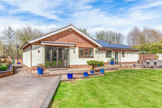 Thumbnail Detached bungalow for sale in Towpath, Shepperton
