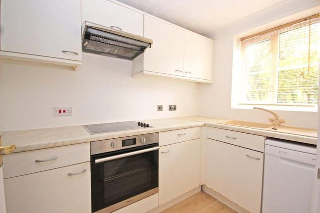Terraced house to rent in Sycamore Close, Loughton