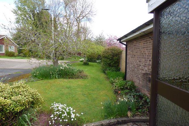 Bungalow for sale in 14 Ferndown Road, Ledbury, Herefordshire