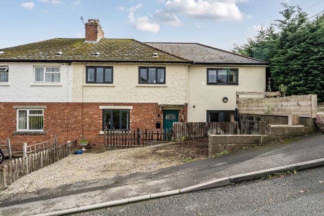 1365497-2-68F7847...