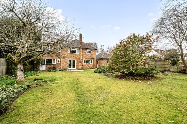 20, Wood Lane, Hampshire photo 4