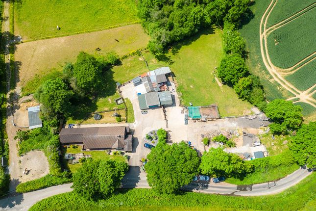 Burnells Coombe, Crediton photo 4